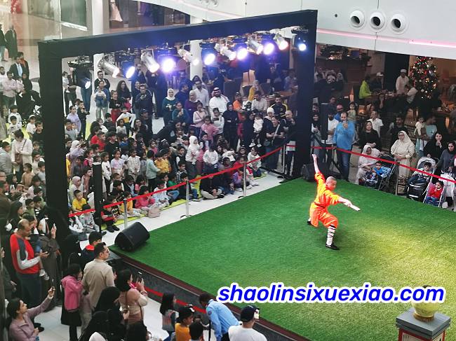 Chinese Kungfu Performance